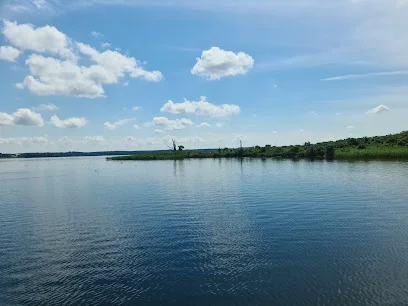 Wyspa Kormoranów (Wysoki Ostrów)